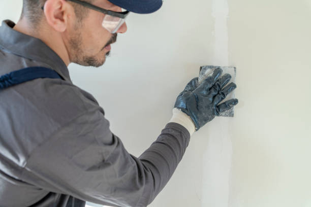 Professional Drywall & Painting Services in Sammamish, WA